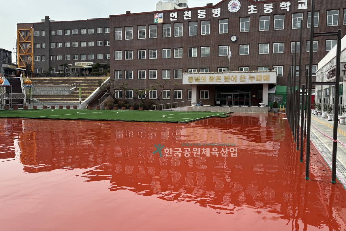 탄성포장재 컬러 표층 마감 모습
