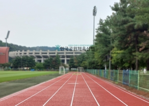 부천종합운동장 보조구장, 탄성포장재 납품