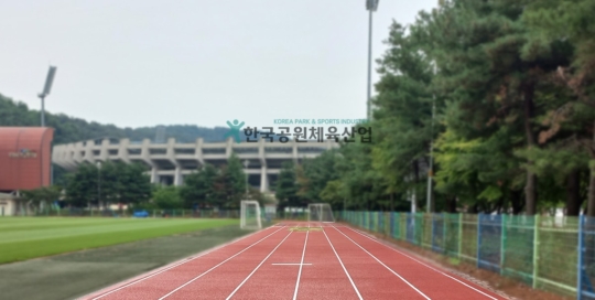부천종합운동장 보조구장, 탄성포장재 납품