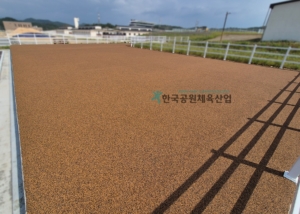 영천경마공원 체육시설 탄성포장재 납품